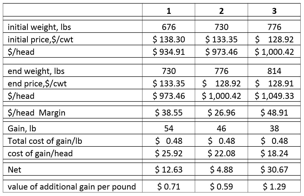 Deciding when to sell calves? Calculate the value of additional gain